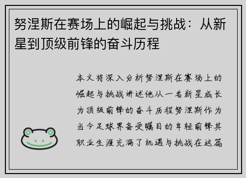 努涅斯在赛场上的崛起与挑战：从新星到顶级前锋的奋斗历程