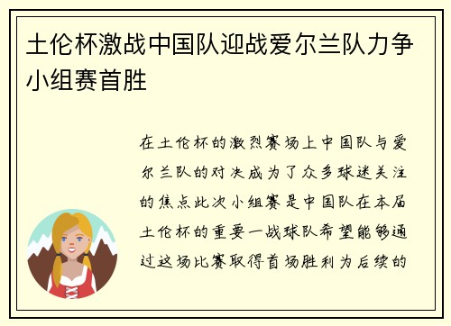 土伦杯激战中国队迎战爱尔兰队力争小组赛首胜